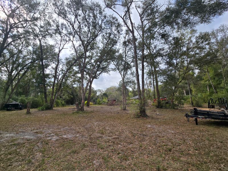 Land Clearing