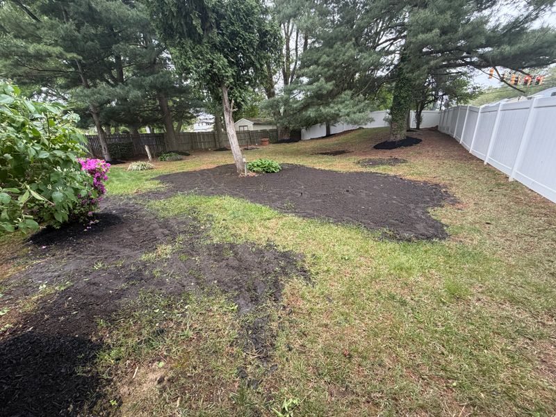 Lawn Maintenance