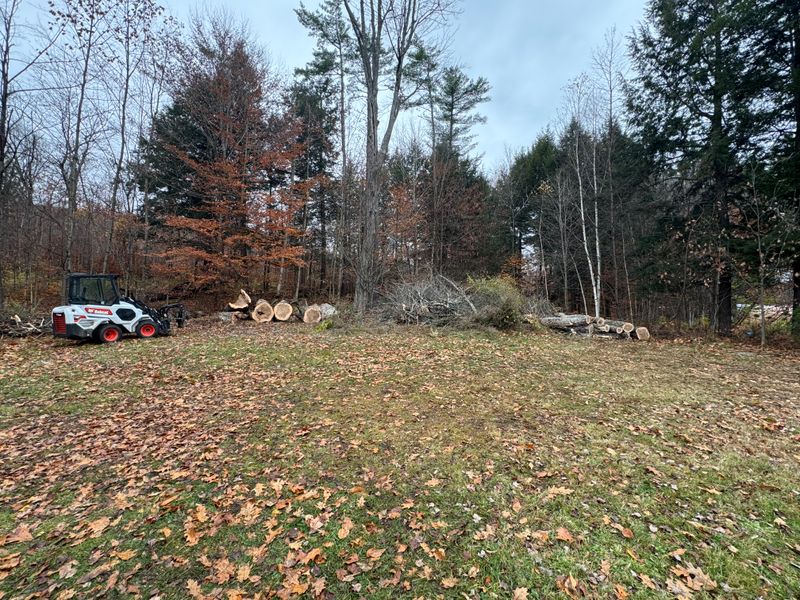 Stump Removal