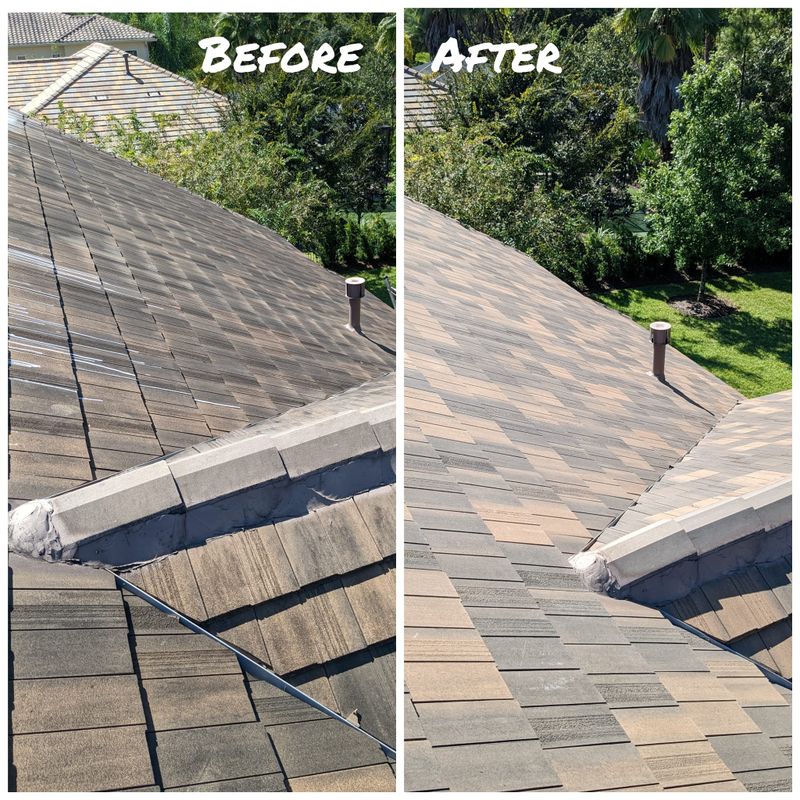 Roof Washing