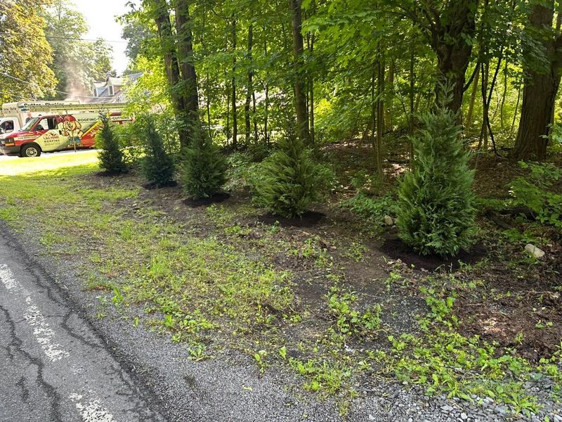 Mulch Installation