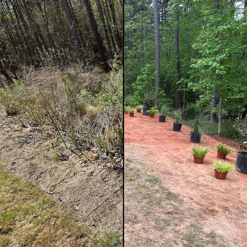 Landscaping