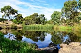 Retention Pond Maintenance