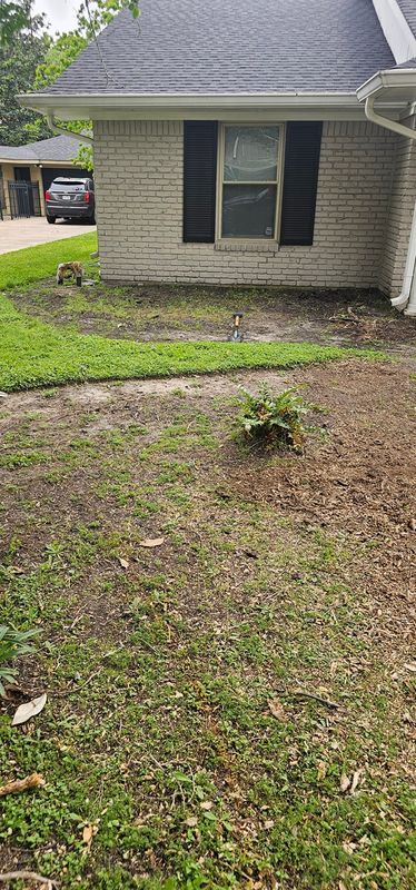 Tree Removal gallery