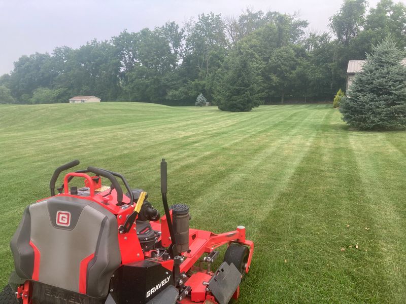 Lawn Maintenance