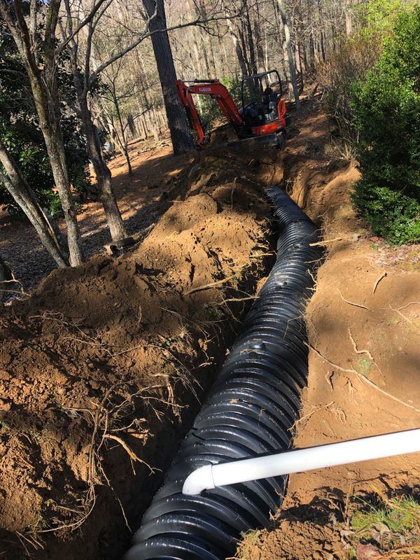 Septic