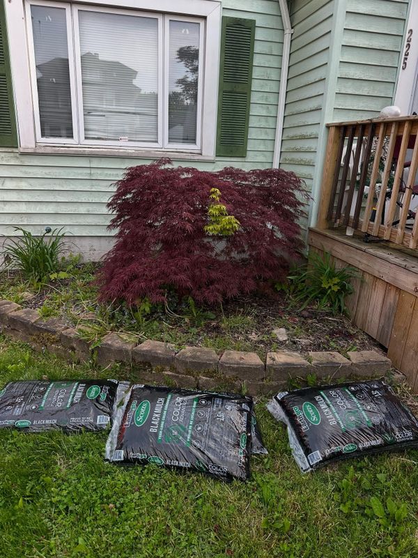 Exterior Repairs