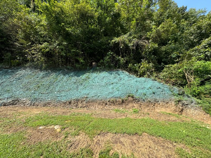 Hydroseeding 