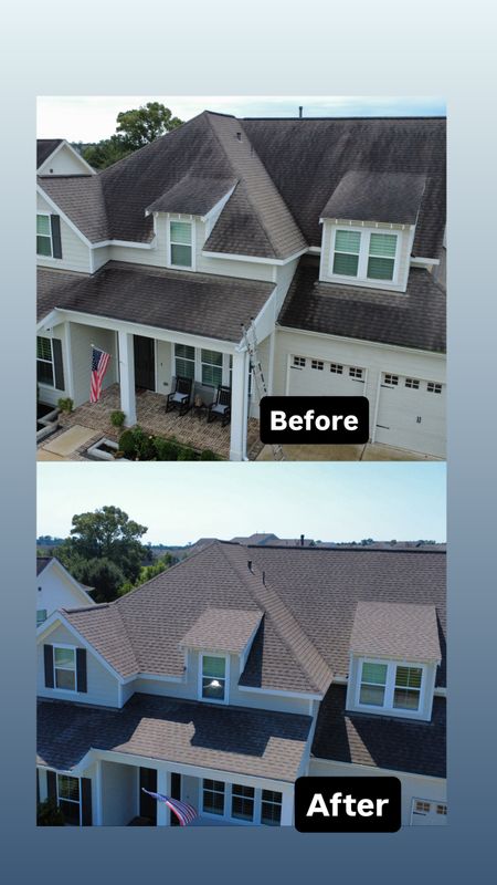 Roof SoftWashing 