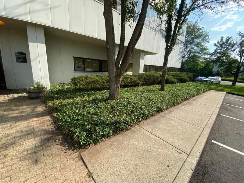 Commercial Landscape Maintenance gallery