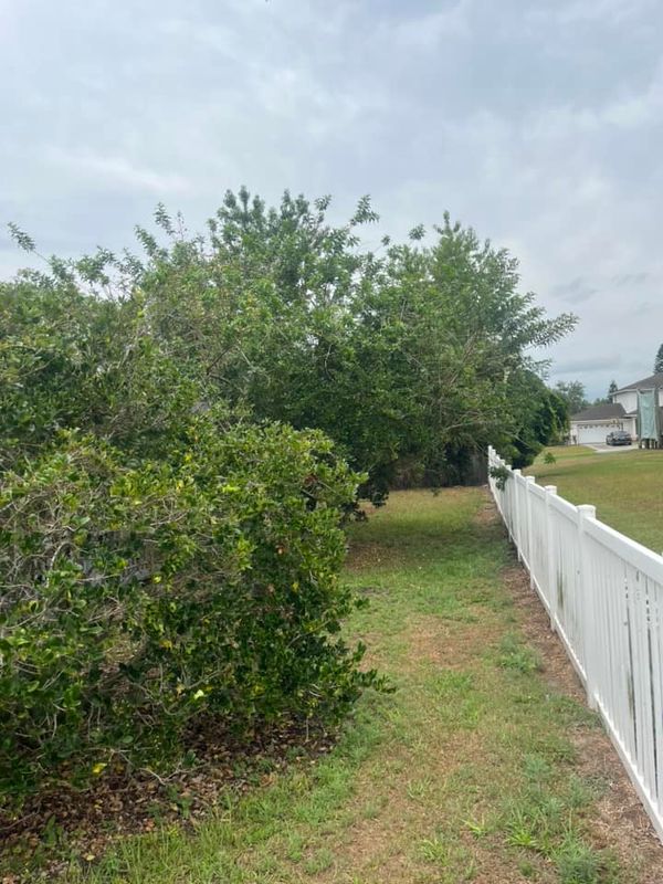 Landscaping Lawn Care