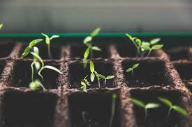 Over-seeding