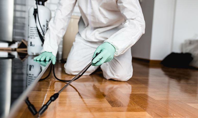 Residential Pest Control