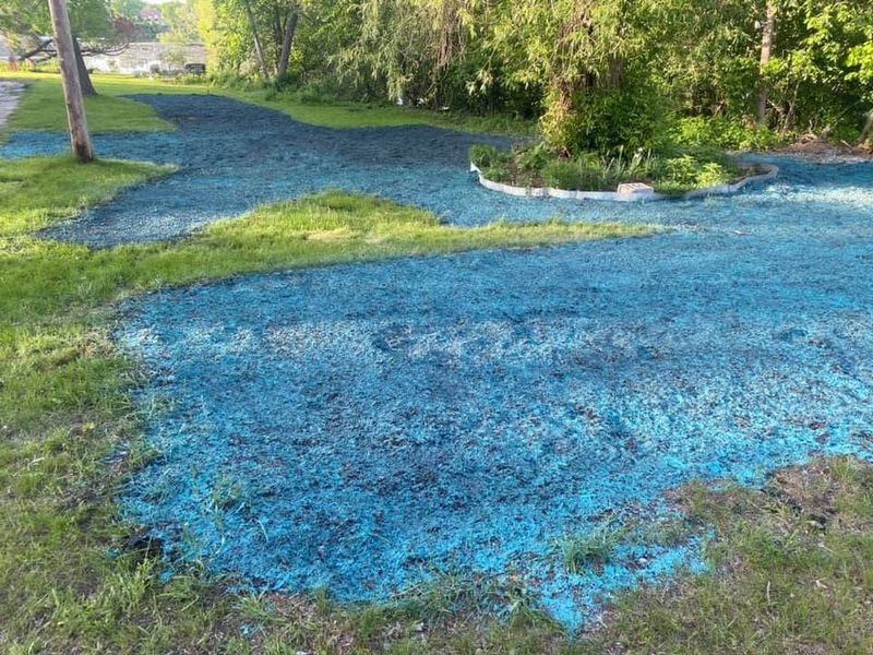 Erosion control / Hydroseeding gallery
