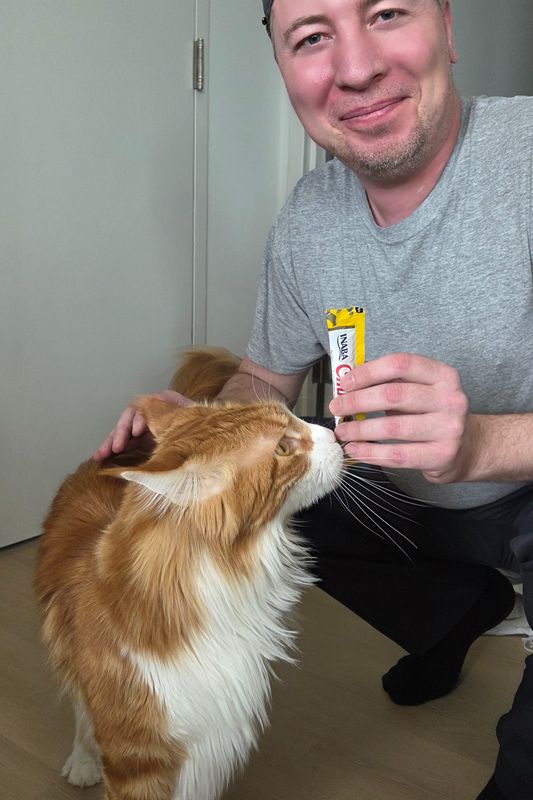 Pet friendly