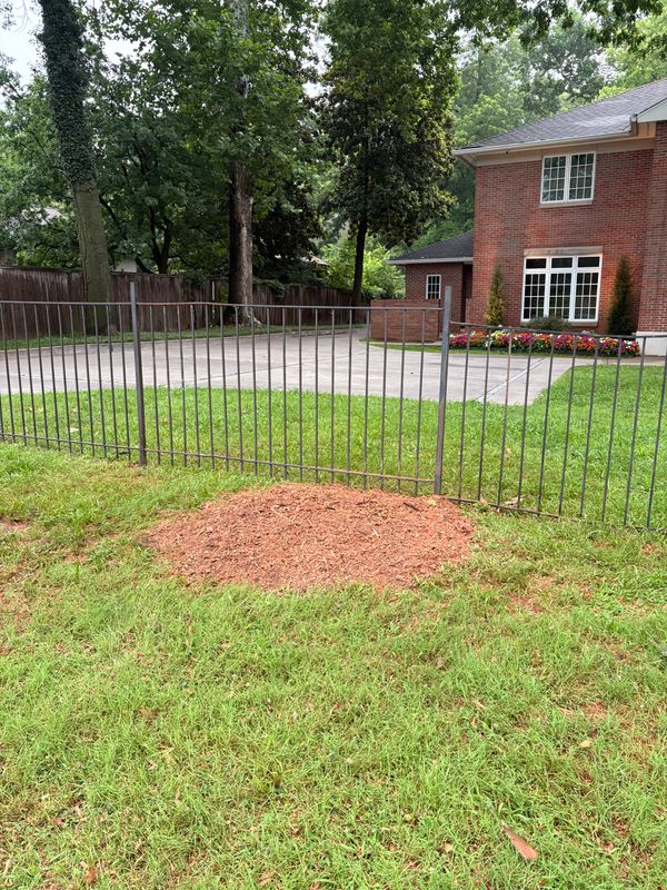 Stump Removal