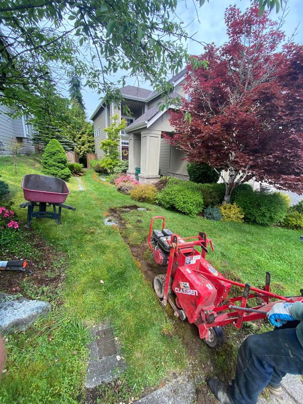 Landscaping