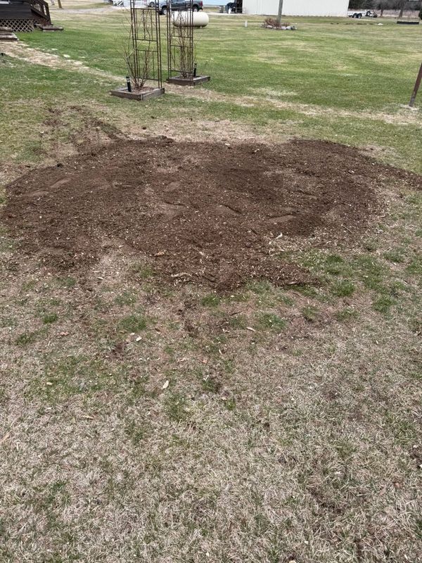 Stump Removal