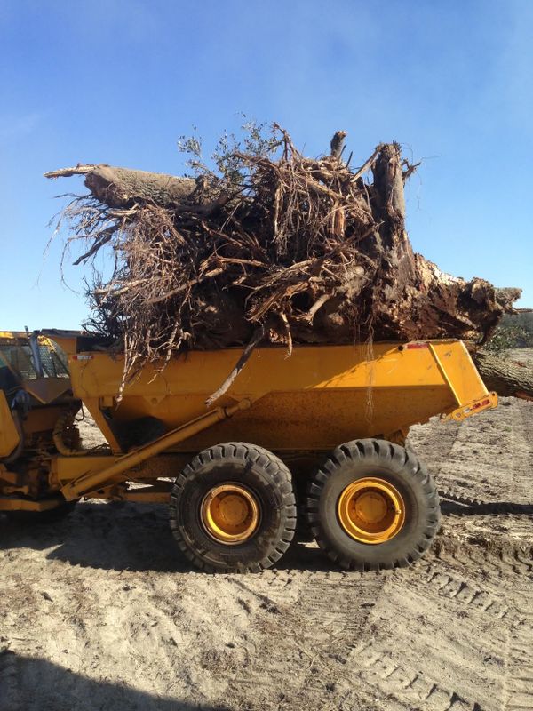 Site Preparation