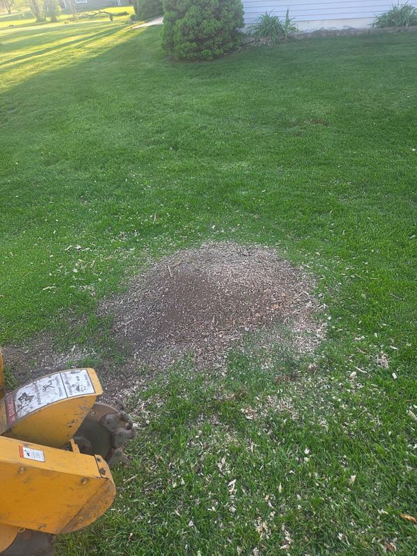 Stump Grinding