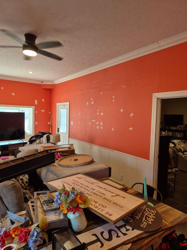 Transformative Interior Painting: Revitalizing Spaces with Loving 217 Homes