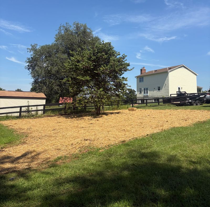 Land Clearing