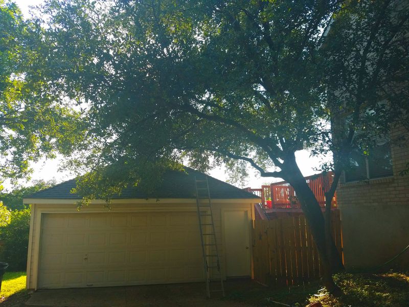 Roof Clearing gallery
