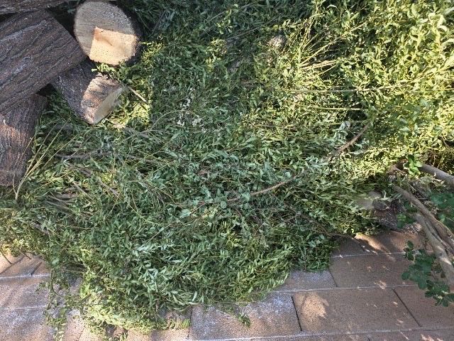 Transform Your Outdoor Space with Elevate Landscaping