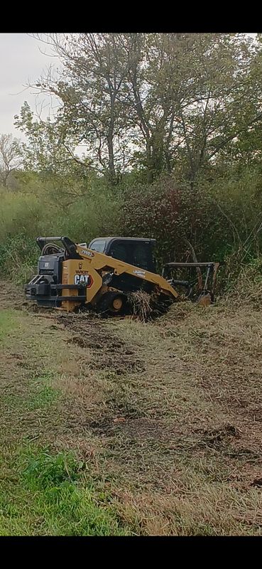 Forestry Mulching