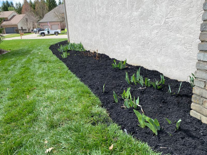 Landscape Design