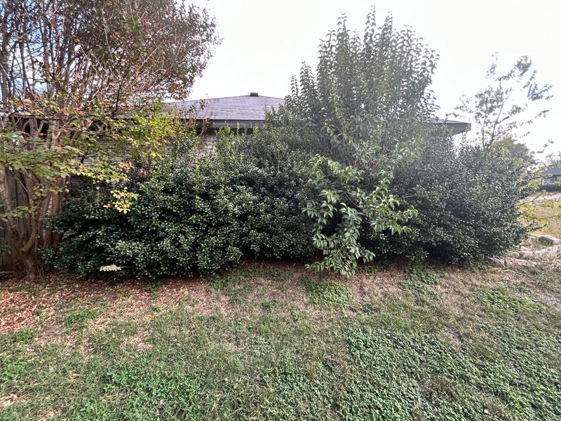 Shrubbery trimming and removal