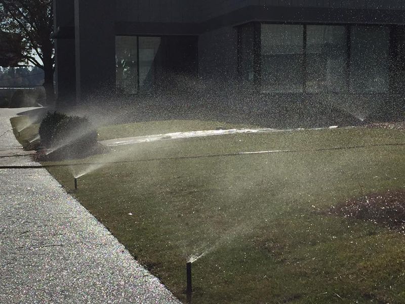 Landscaping
