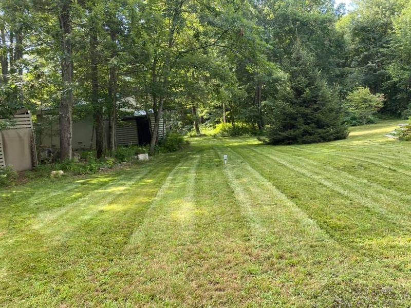 Lawn Mowing and Maintenance