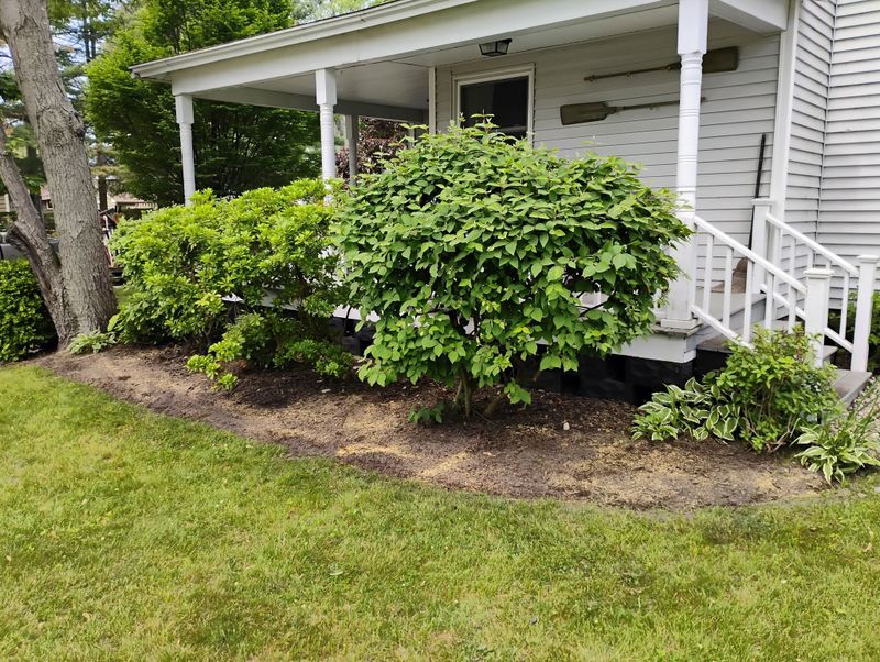 Lawn Maintenance