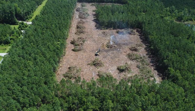 Land Clearing