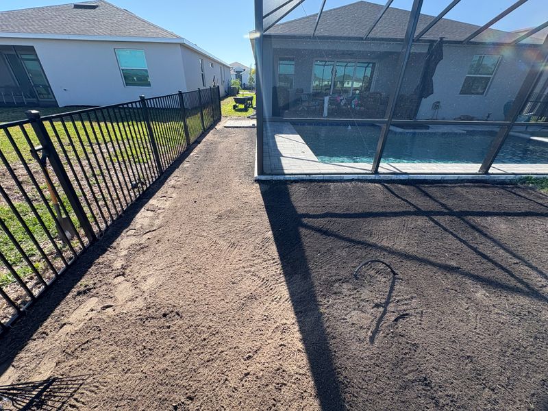 Landscaping 