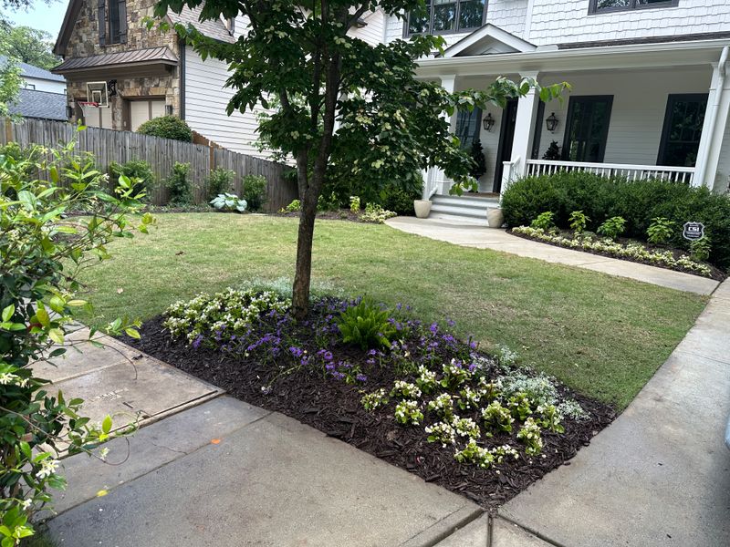 Landscape Design