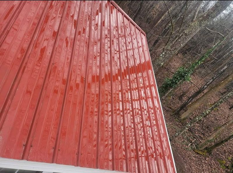 Roof and Gutter Cleaning