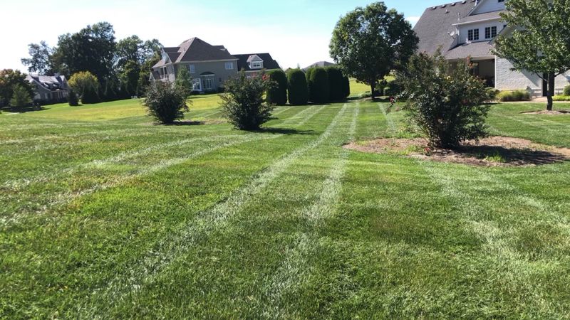 Lawn Care