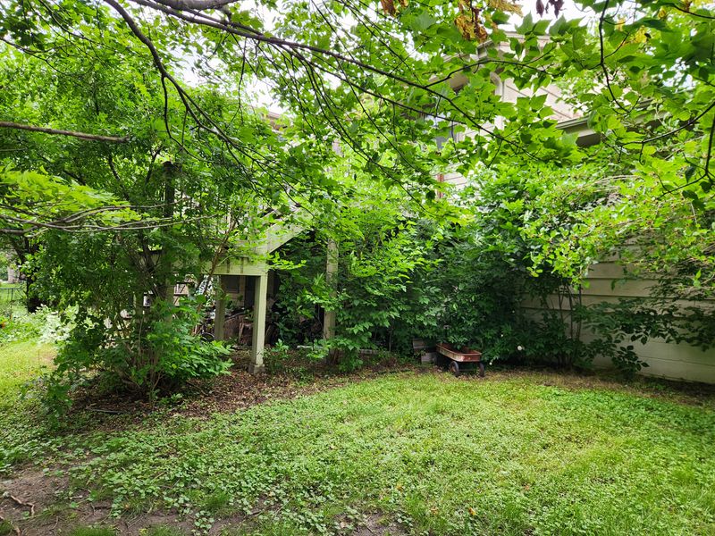 Yard clean up 