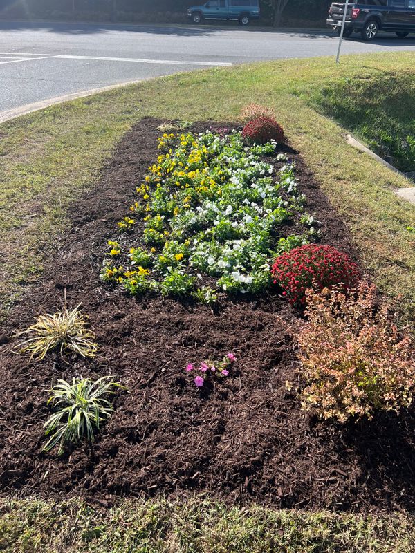 Mulch Installation