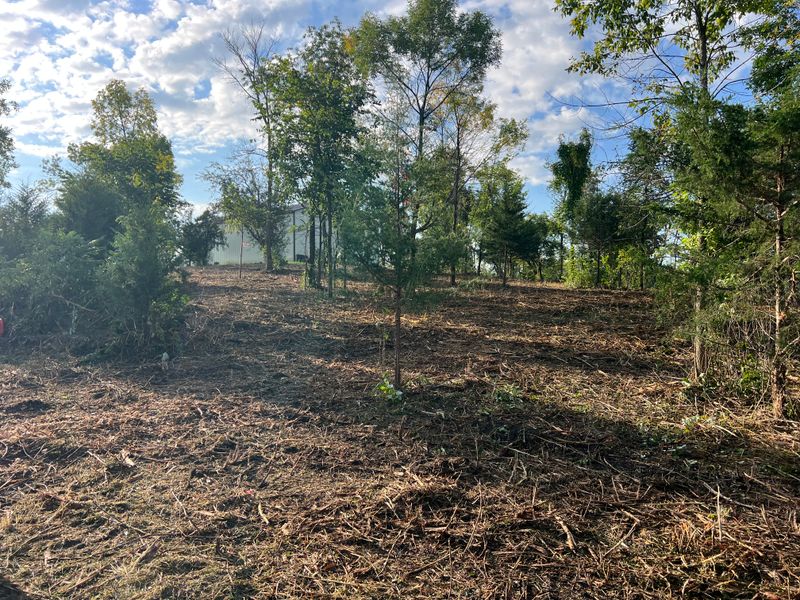Forestry mulching