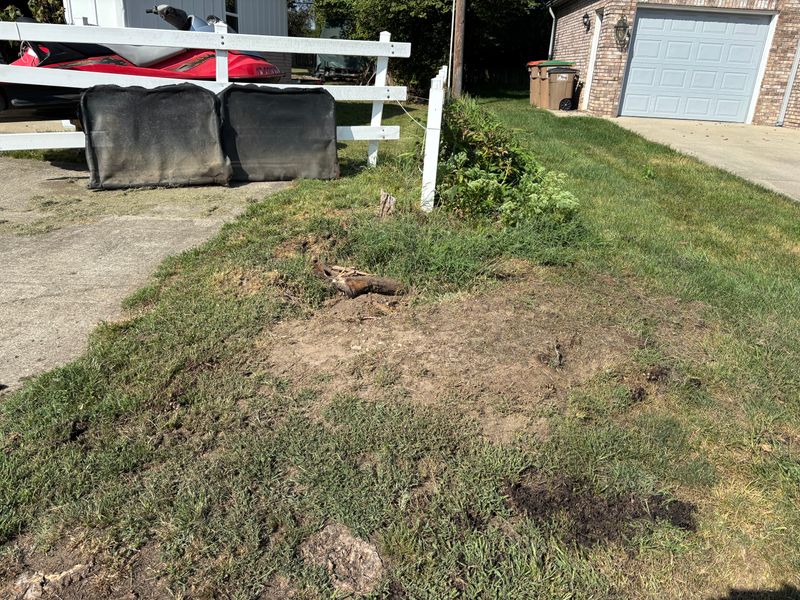 Stump Removal