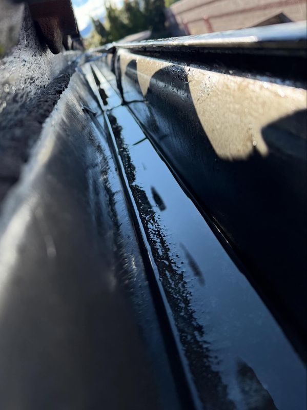 Gutter Cleaning