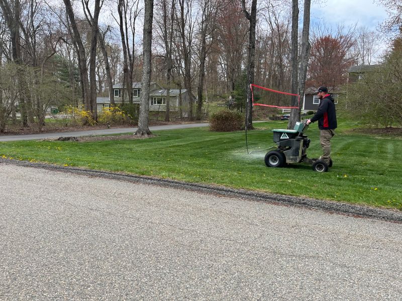 Fertilizer 