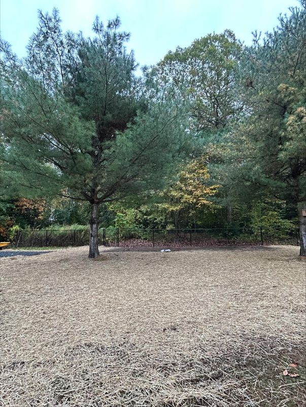 Hardscaping and Landscape Construction