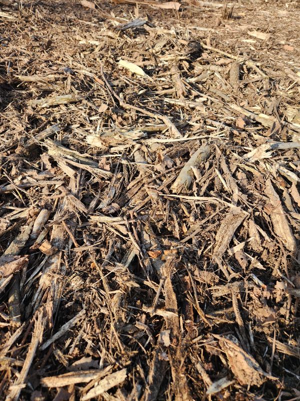 Forestry Mulching & Brush Mowing