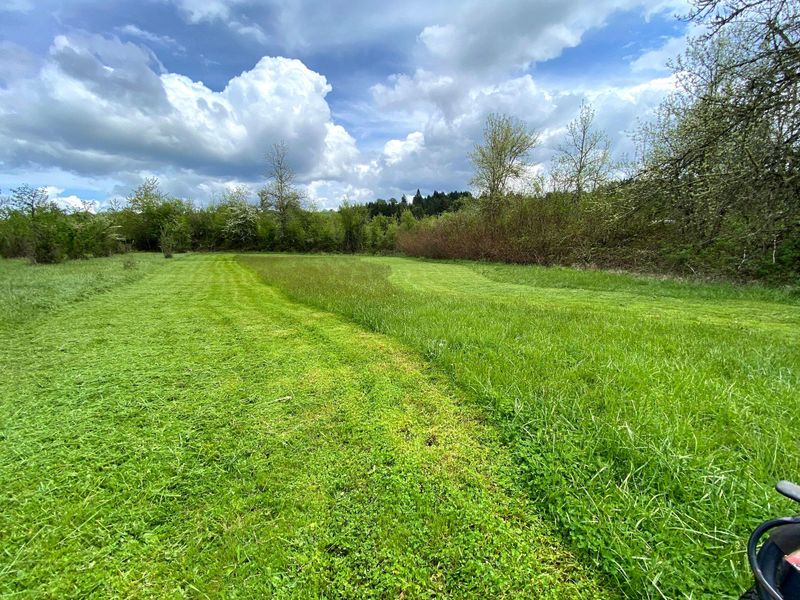 Lawn Maintenance