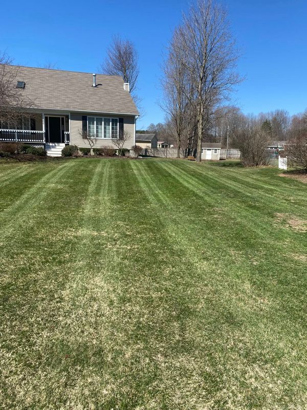 Mowing