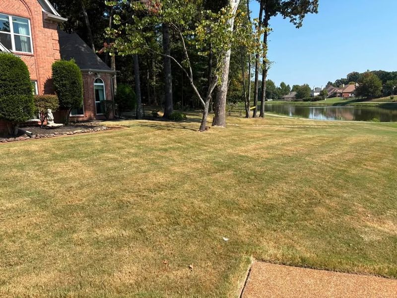 Lawn Maintenance